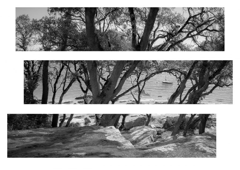 Noirmoutier 2019 BW12