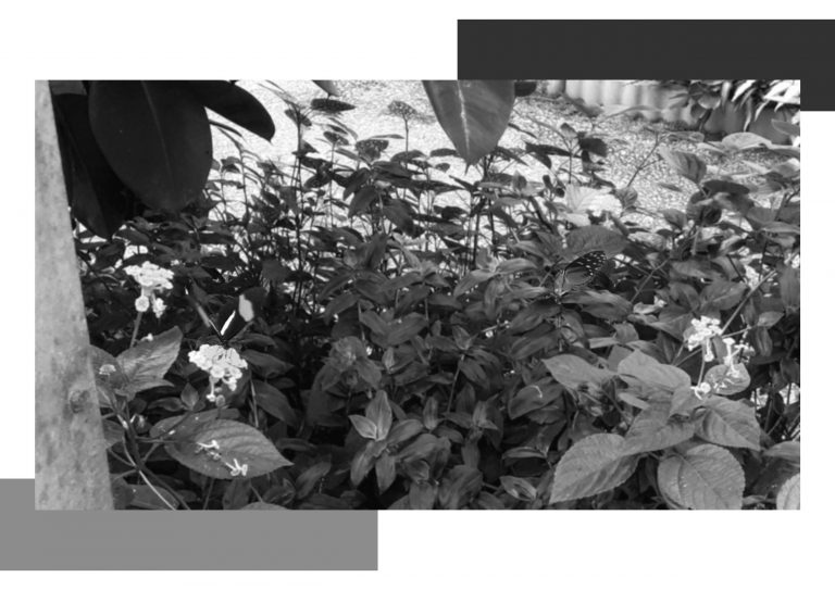 Noirmoutier 2019 BW18