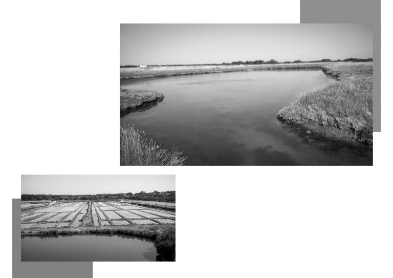 Noirmoutier 2019 BW22