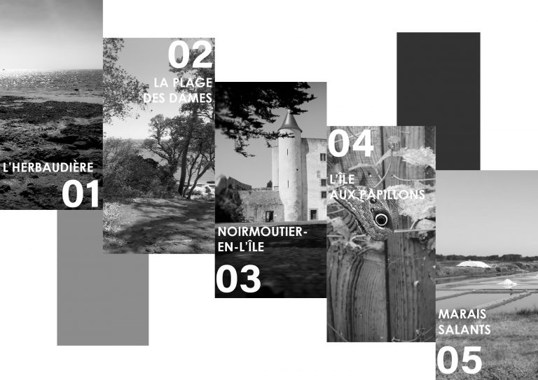 Noirmoutier 2019 BW4