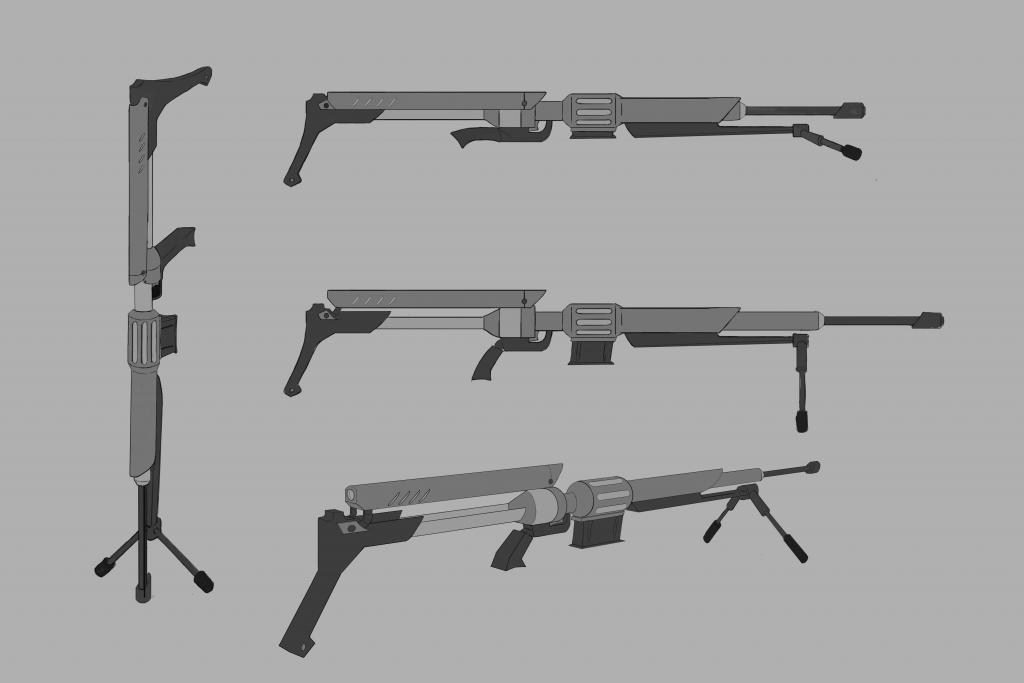 Concept fusil de précision